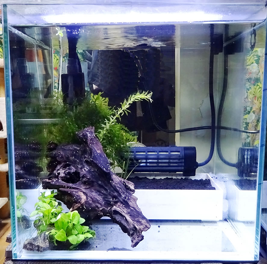 水槽リセットその2