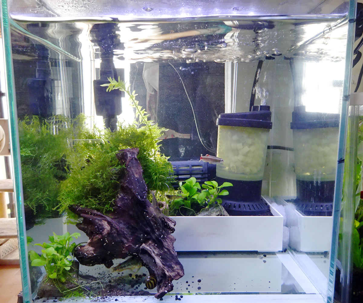 水槽リセット3